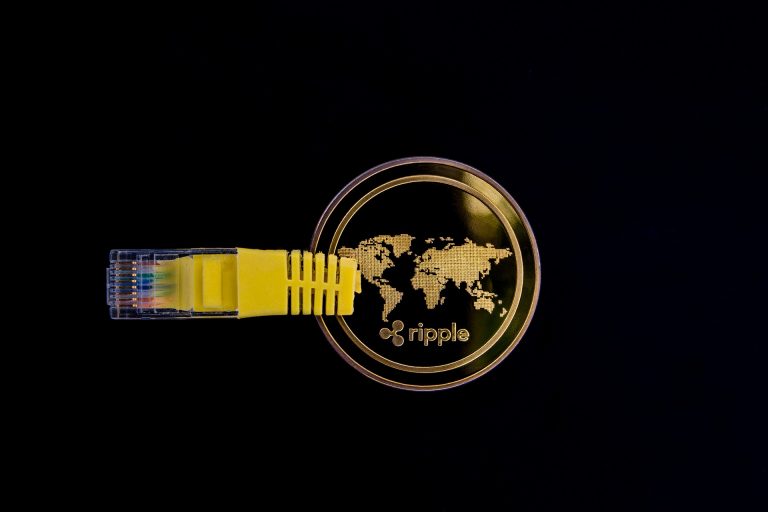 A Ripple vezérigazgatója megvédi az XRP segédprogramját a Fintech konferenciáján.