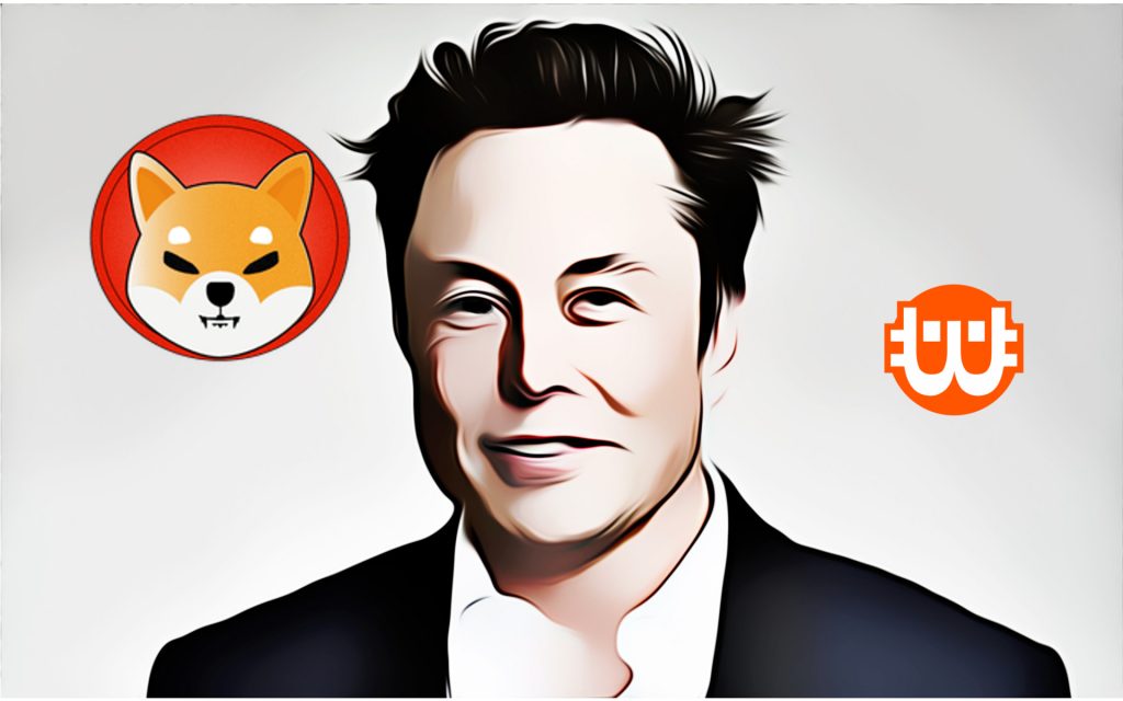 20%-ot zuhant a Shiba Inu token, miután Elon Musk kijelentette, hogy nem SHIB-tulajdonos