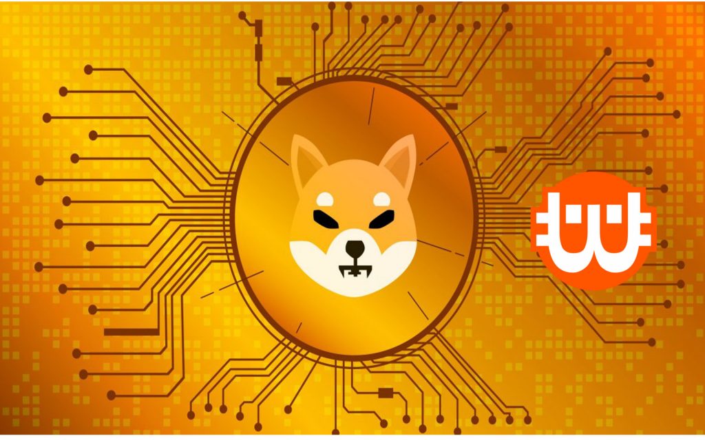 50%-ot nőtt a SHIBA INU a kriptopiac szárnyalása közepette