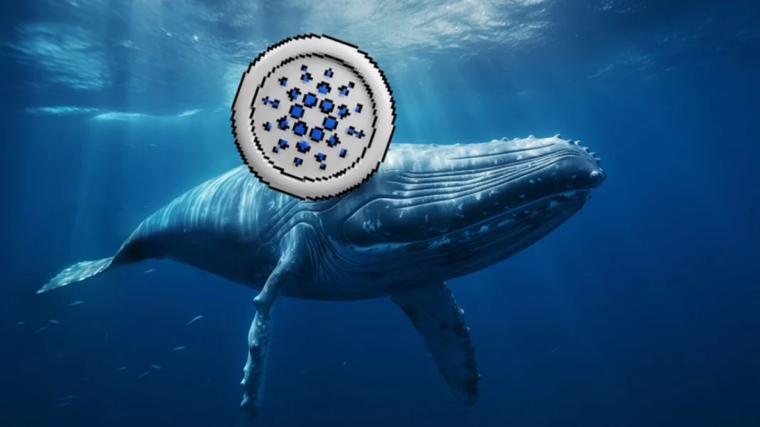 cardano