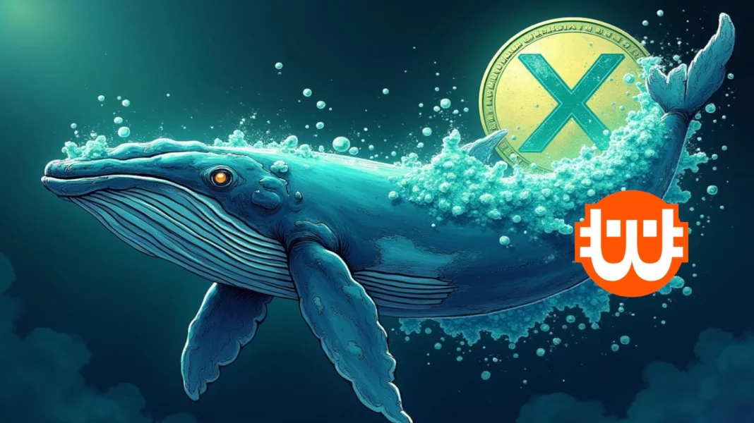 Az XRP elérte a 6 éves csúcsot