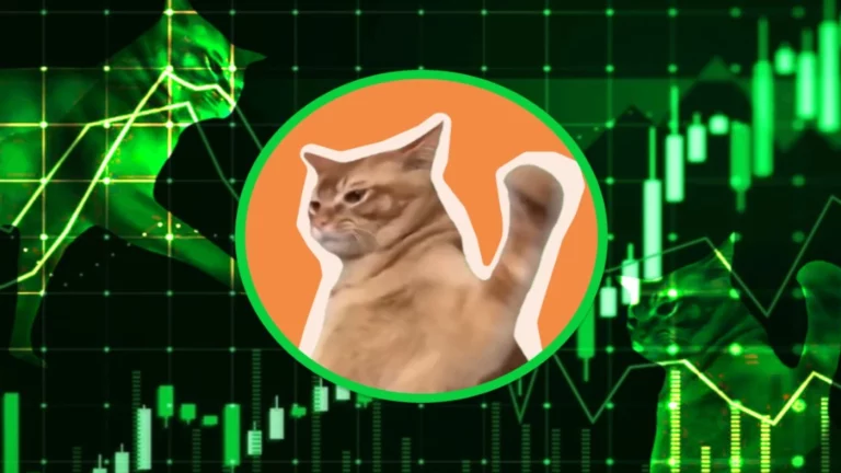 A Catslap (SLAP) ára 40%-kal nőtt, ez a következő MOG?