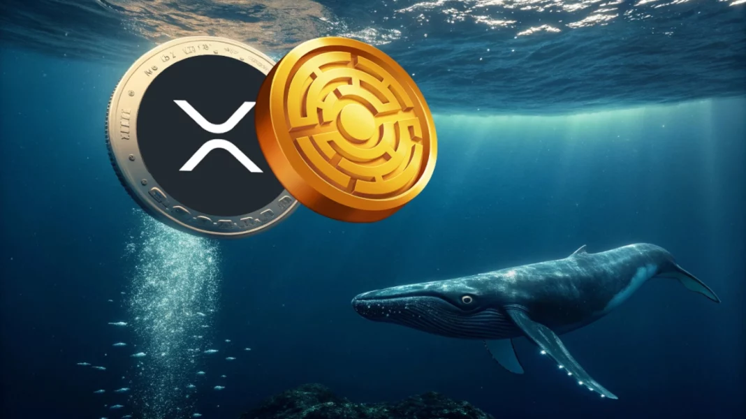 Az XRP új történelmi csúcsot céloz meg