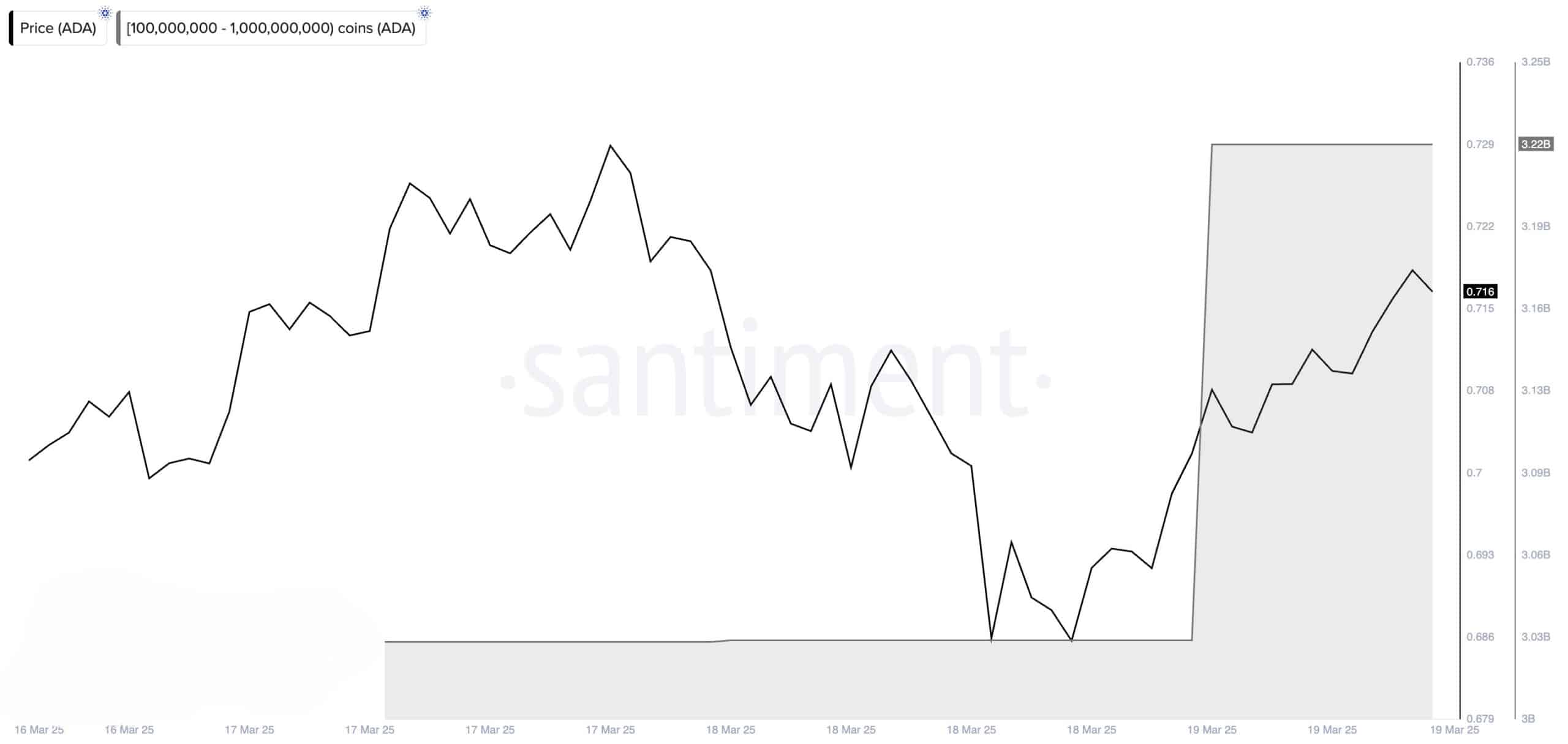 cardano